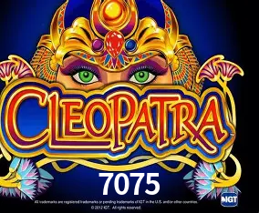 7075 Curitiba - Live Status