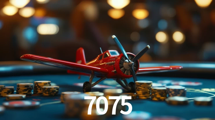 2FA Security 7075