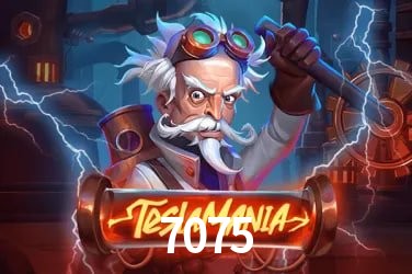7075 Brasília - Jogo Features